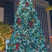 ヒメ日記 2025/11/26 23:45 投稿 平山 さとみ 熟女・人妻マダム宮殿