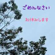 ヒメ日記 2025/11/27 07:00 投稿 平山 さとみ 熟女・人妻マダム宮殿