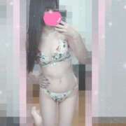 ヒメ日記 2026/03/03 19:19 投稿 もか Flower（フラワー）