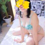 ヒメ日記 2025/11/15 19:00 投稿 のばら 奥鉄オクテツ大阪