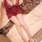 ヒメ日記 2026/02/19 11:45 投稿 のばら 奥鉄オクテツ奈良