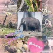 ヒメ日記 2025/11/11 17:37 投稿 ひよな 町田人妻城