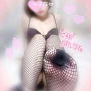 ヒメ日記 2025/11/12 19:05 投稿 ひよな 町田人妻城