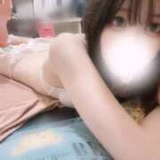 ヒメ日記 2026/02/11 16:09 投稿 きた スピードエコ日本橋店