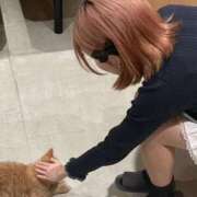 きた きた（エコ日本橋店） スピードエコ日本橋店