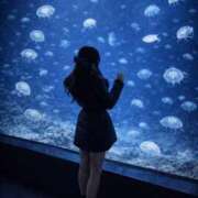 ヒメ日記 2026/01/22 17:12 投稿 かりん◇経験浅い細身の美女◇ H-ash（アッシュ）