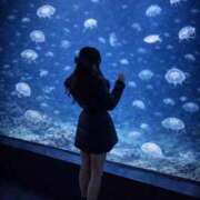 ヒメ日記 2026/03/13 19:02 投稿 かりん◇経験浅い細身の美女◇ H-ash（アッシュ）