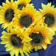 ヒメ日記 2025/10/17 16:00 投稿 内川 なず菜 人妻セレブ宮殿