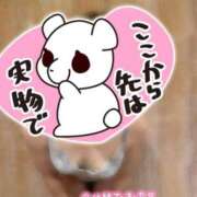 ヒメ日記 2025/11/09 05:09 投稿 ゆうたん サティアンまーと