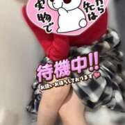 ヒメ日記 2025/11/09 21:49 投稿 ゆうたん サティアンまーと