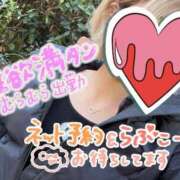 ヒメ日記 2025/11/24 12:51 投稿 ゆうたん サティアンまーと