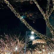 ヒメ日記 2025/12/08 11:49 投稿 ゆうたん サティアンまーと