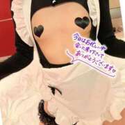 ヒメ日記 2026/03/16 19:09 投稿 ゆうたん サティアンまーと