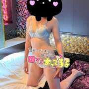 ヒメ日記 2026/03/17 03:46 投稿 ゆうたん サティアンまーと