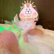 ヒメ日記 2026/03/23 10:19 投稿 ゆうたん サティアンまーと