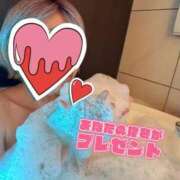 ヒメ日記 2026/03/23 16:09 投稿 ゆうたん サティアンまーと