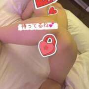 ヒメ日記 2026/03/24 08:23 投稿 ゆうたん サティアンまーと