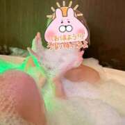 ヒメ日記 2026/03/28 10:59 投稿 ゆうたん サティアンまーと