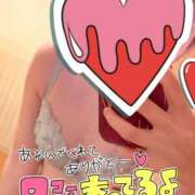 ヒメ日記 2026/04/04 09:12 投稿 ゆうたん サティアンまーと