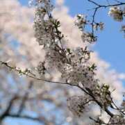 ヒメ日記 2026/04/06 10:09 投稿 ゆうたん サティアンまーと