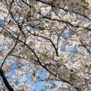 ヒメ日記 2026/04/06 20:19 投稿 ゆうたん サティアンまーと