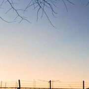 ヒメ日記 2026/04/10 07:39 投稿 ゆうたん サティアンまーと