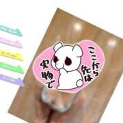 ヒメ日記 2026/06/28 14:29 投稿 ゆうたん サティアンまーと