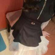 ヒメ日記 2025/11/23 10:58 投稿 あゆ ドマーニ