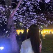 ヒメ日記 2026/03/24 21:37 投稿 あゆ ドマーニ