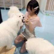 ヒメ日記 2025/10/08 19:50 投稿 四日市・みはる CLASSY.名古屋・新栄店