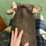 ヒメ日記 2025/12/09 12:03 投稿 二階堂(にかいどう) 八王子人妻城