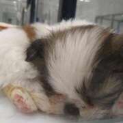 ヒメ日記 2025/10/24 14:42 投稿 はるか 池袋サンキュー