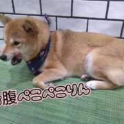 ヒメ日記 2025/10/27 05:42 投稿 はるか 池袋サンキュー