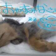 ヒメ日記 2025/10/27 19:31 投稿 はるか 池袋サンキュー