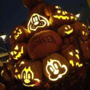 ヒメ日記 2025/11/01 07:42 投稿 はるか 池袋サンキュー