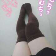 ヒメ日記 2025/11/06 14:08 投稿 はるか 池袋サンキュー