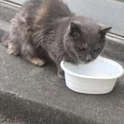 ヒメ日記 2025/11/17 07:31 投稿 はるか 池袋サンキュー