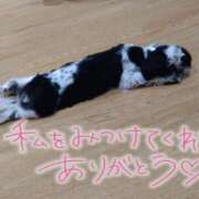 ヒメ日記 2025/11/23 09:26 投稿 はるか 池袋サンキュー