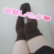 ヒメ日記 2025/11/23 10:21 投稿 はるか 池袋サンキュー