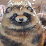 ヒメ日記 2025/11/10 12:03 投稿 ぼたん 熟女の風俗最終章　越谷店