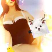 ヒメ日記 2025/12/29 03:12 投稿 ぼたん 熟女の風俗最終章 西川口店