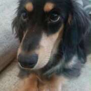 ヒメ日記 2025/10/05 10:53 投稿 はるか 奥様特急三条店