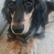 ヒメ日記 2025/11/06 14:33 投稿 はるか 奥様特急三条店