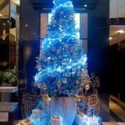 ヒメ日記 2025/11/10 10:33 投稿 はるか 奥様特急三条店