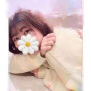 ヒメ日記 2025/11/18 12:04 投稿 はるか 奥様特急三条店