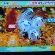 ヒメ日記 2026/06/01 14:08 投稿 ひとみ 熟女の風俗最終章 立川店
