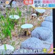 ヒメ日記 2026/07/18 13:03 投稿 ひとみ 熟女の風俗最終章 立川店