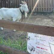 ヒメ日記 2025/10/13 21:55 投稿 ひな♪ プリティーガール