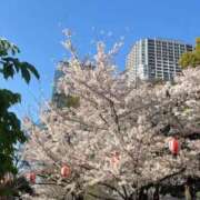 ヒメ日記 2026/04/06 09:45 投稿 ひな♪ プリティーガール