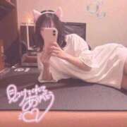 ヒメ日記 2025/11/20 14:31 投稿 しずく 快楽玉乱堂